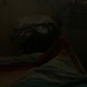 Meet your Posher, Jay